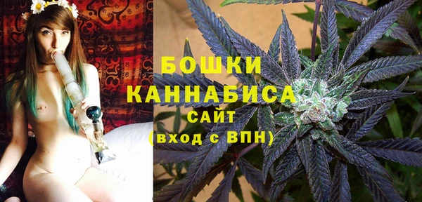 apvp Аркадак